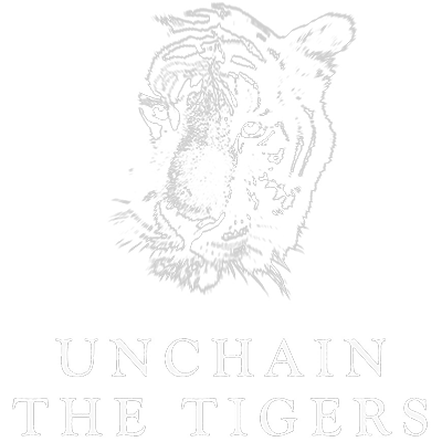 Unchain The Tigers - Connecting imagination and energy to people